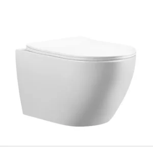 Wall Hanging Commode